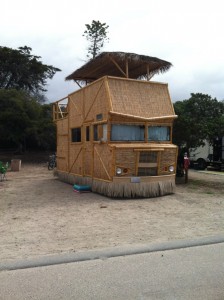 RV Covered in Bamboo