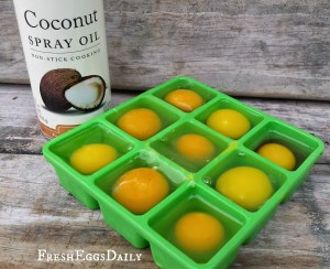 coconut oil and freezing eggs
