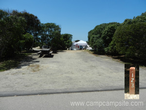 San Elijo Campsite #123