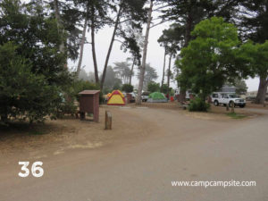 Morro Bay Campsite 36