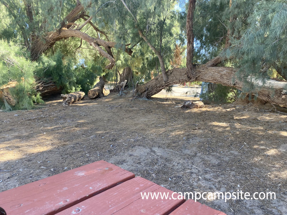 Fiddler's Campground - Death Valley - Camping Information - The Camp ...